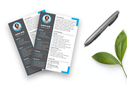 Modern Professional Resume Template, a Resume Template by Annudesign (Thumbnail 2 of 5)