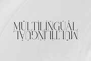 Chaltera | Modern Ligature Serif, a Serif Font by Typoraith Co (Thumbnail 9 of 11)