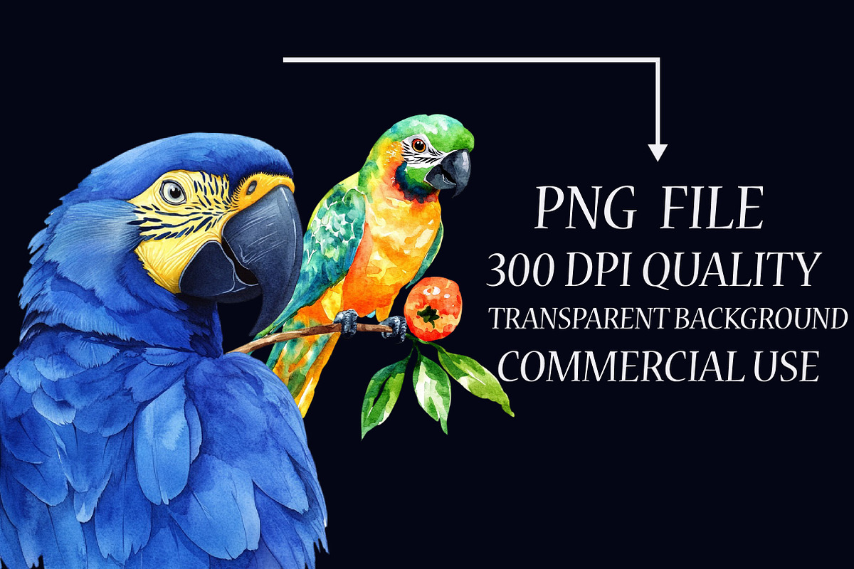 Watercolor Tropical Parrots Clipart, an Illustration by Libby Wishes (Photo 5 of 6)