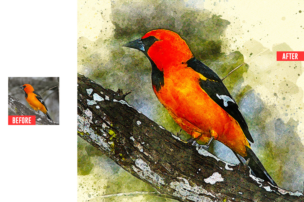 Pure Watercolor Photoshop Action, an Action Add-On by Design Forest (Photo 20 of 32)