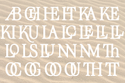 Cagront Serif, a Serif Font by studiobasic (Thumbnail 5 of 10)