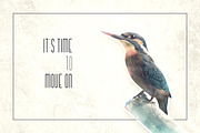 Kalpazan font family -50%, a Sans Serif Font by VP Fonts (Thumbnail 3 of 13)