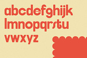 FlyBridge - Bold Ligature Rich Sans, a Sans Serif Font by SilverStag Type Foundry (Thumbnail 26 of 30)