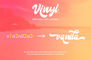 Vinyl Script, a Script Font by khurasan (Thumbnail 5 of 6)