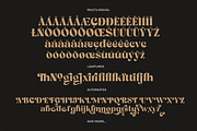 Bropella - Display Font, a Font by Martype Co (Thumbnail 9 of 9)
