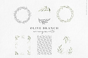 Olive branch watercolor illustration, an Illustration by Angele Kamp (Thumbnail 13 of 13)