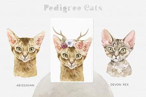 Feline Nature. Cat Portrait Creator