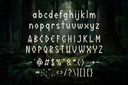 Nordic Omen - Ancient Rune Typeface, a Sans Serif Font by HipFonts (Thumbnail 2 of 9)