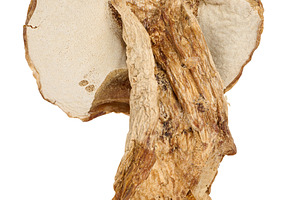 A dried mushroom with a fibrous, brown texture. Isolated backgro, a Food & Drink Photo by ndanko