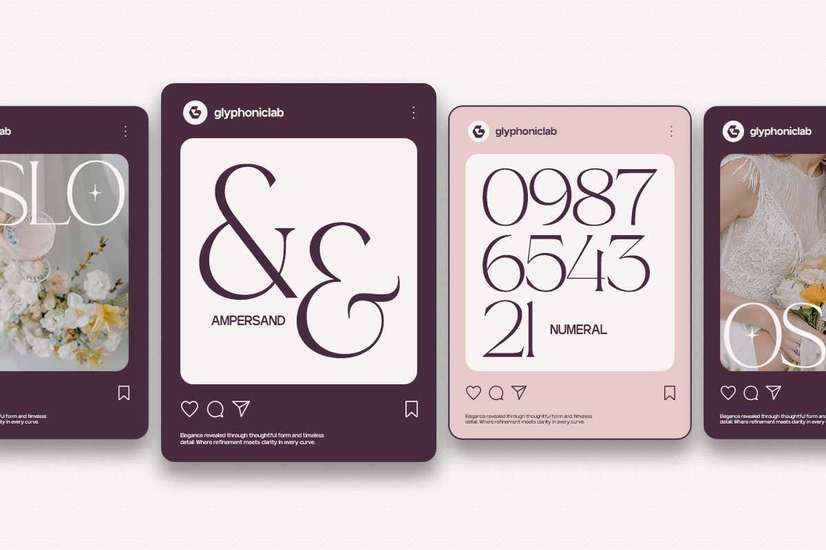 GC Adelite - Stylish Chic Serif, a Serif Font by Glyphonic (Photo 8 of 15)