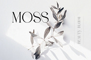 FLOWRISE || Display Ligature Serif, a Serif Font by ToniStudio (Thumbnail 10 of 13)