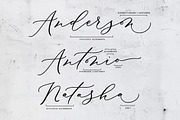 Biancha Script, a Script Font by sizimon (Thumbnail 7 of 10)