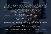 The Doctor Signature, a Script Font by PutraCetol Studio (Thumbnail 9 of 11)