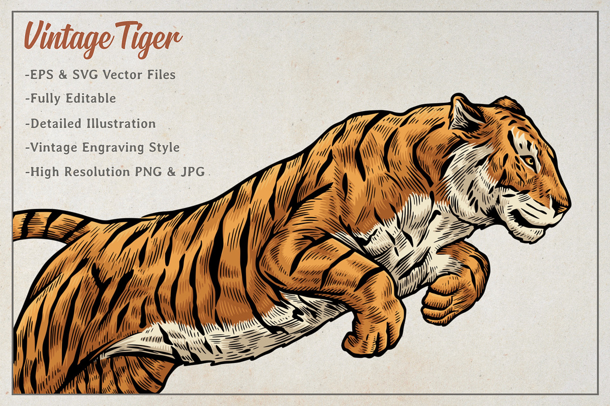Vintage Tiger Engraving Art, an Animal Illustration by Kusumaillustration (Photo 2 of 6)
