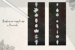 20 Procreate Leaf Stamps