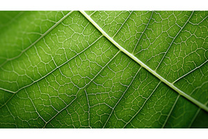 vehicle leaf spring background ai, an Industrial Photo by pikepicture
