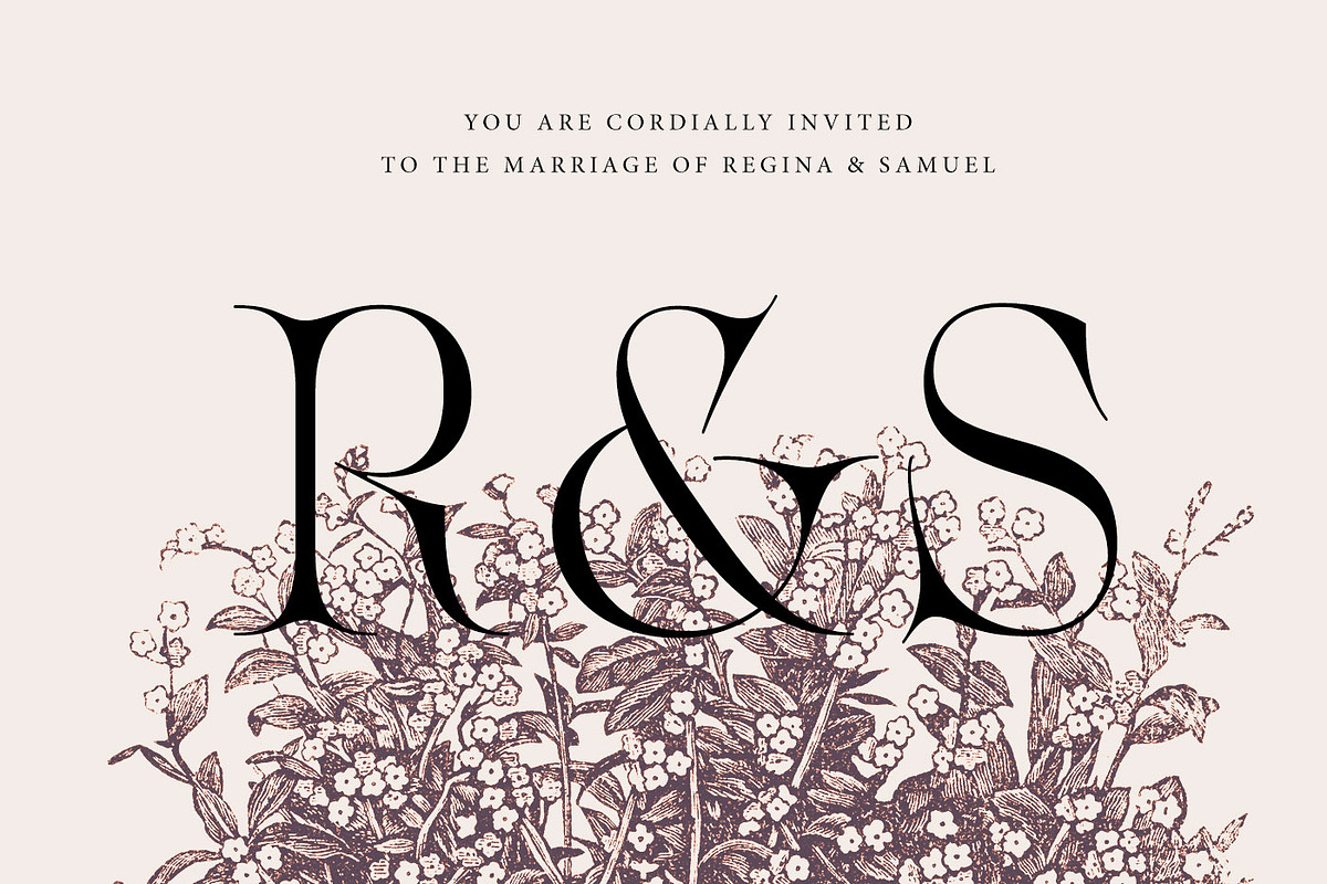 Acris Serif, a Serif Font by Andrey Sharonov (Photo 3 of 16)