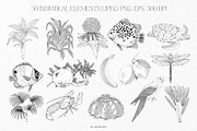 Summer Island Illustrations, an Animal Illustration by GVGraphics (Thumbnail 2 of 9)