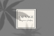 Hemp/Marijuana Shadows & MockUp, a Mockup by Jeanina Vlad (Thumbnail 12 of 17)