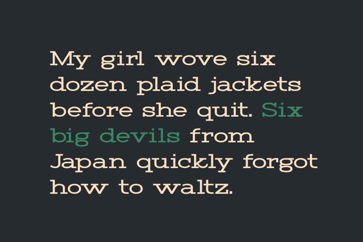 Rymor Display Font, a Serif Font by Webhance Studio (Photo 6 of 8)