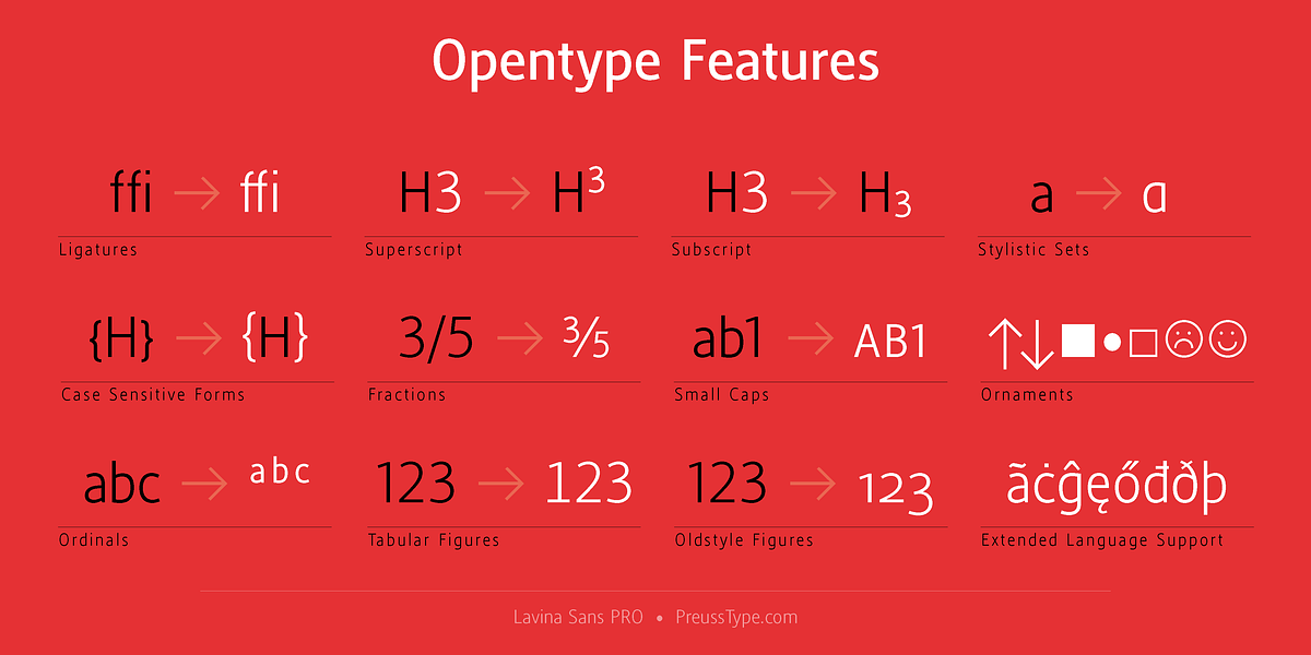 Lavina Sans PRO, a Sans Serif Font by preussTYPE (Photo 3 of 9)