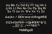 Serena - Modern Classic Sans Serif, a Sans Serif Font by PuriCreative (Thumbnail 9 of 10)