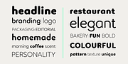 Luengo, a Sans Serif Font by Hashtag Type (Thumbnail 7 of 8)