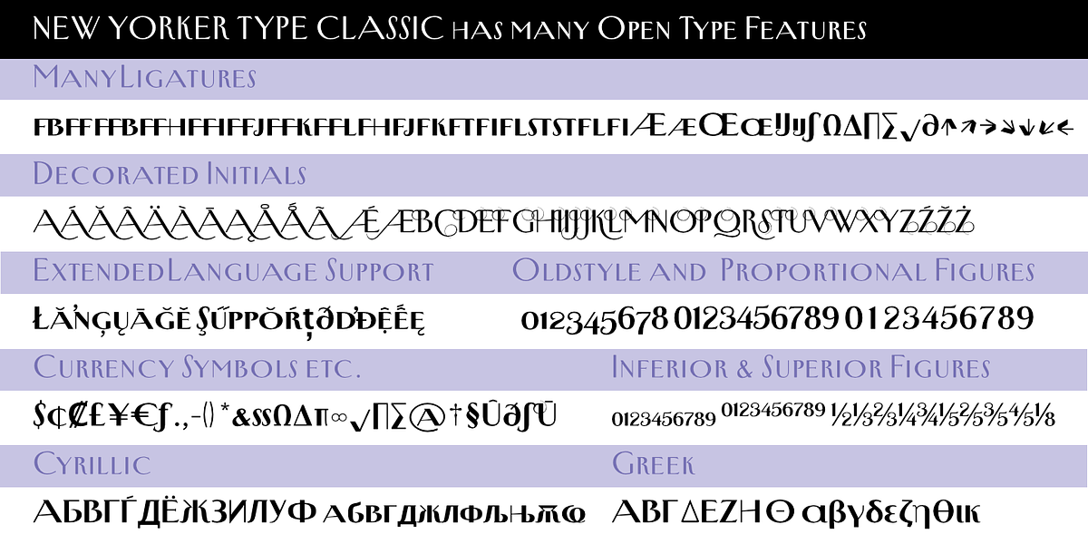 New Yorker Type Classic, a Serif Font by Wiescher-Design (Photo 8 of 8)