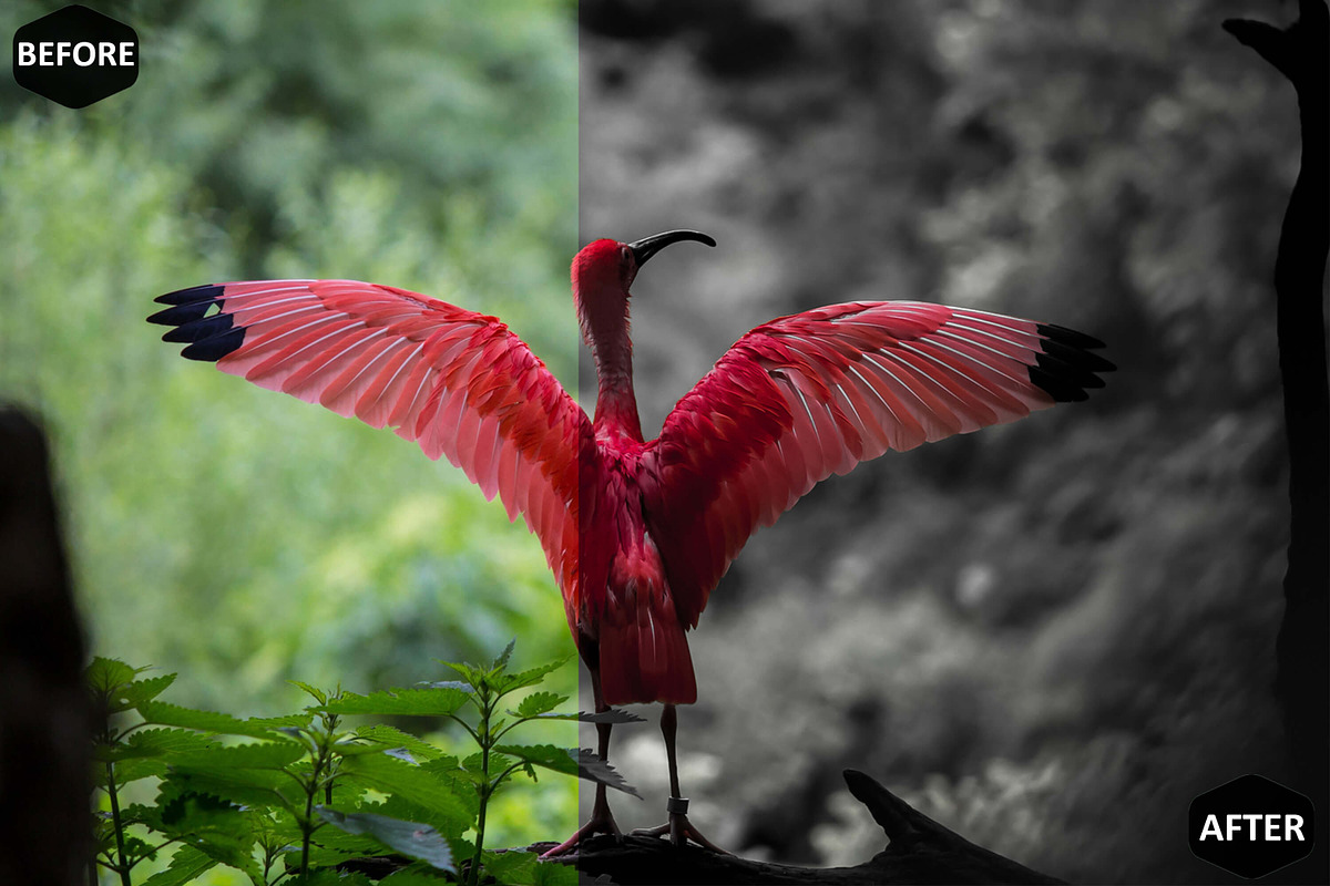 12 Lady In Red Lightroom Presets, a Preset Add-On by Hue Palettte Studio (Photo 5 of 10)