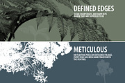 100 Tree and Plant Brushes, a Brush Add-On by envirographic (Thumbnail 4 of 5)