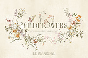 Wildflowers Watercolor flowers, an Illustration by BlumenSoul (Thumbnail 1 of 10)