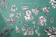 Tropica Collection, a Seasonal Illustration by Michael Rayback Design (Thumbnail 5 of 15)
