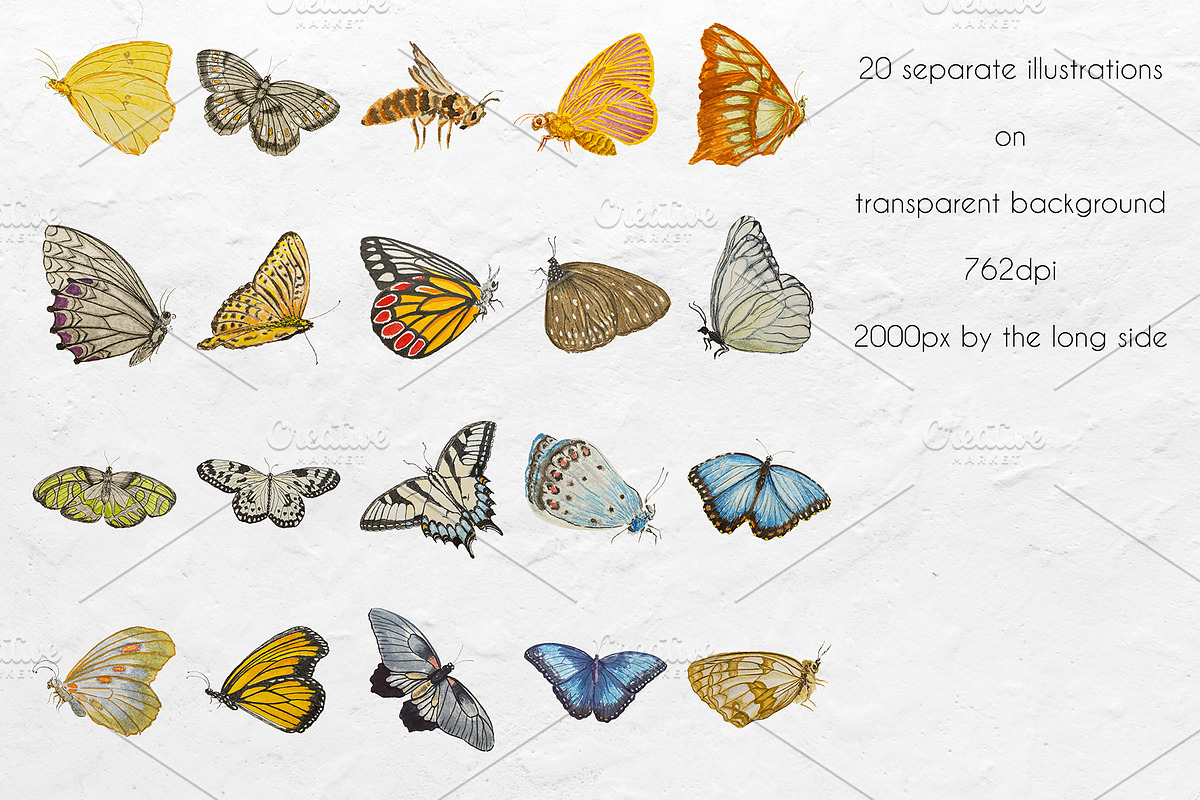 Butterfly watercolor set, a Decorative Illustration by Big Bundles Shop (Photo 3 of 5)