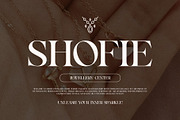 Barun Elegant Serif Font Typeface, a Serif Font by Perfectype (Thumbnail 5 of 6)