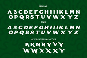 CARNIS Font - Bold Decorative Sans, a Slab Serif Font by WhymoreArt (Thumbnail 10 of 11)