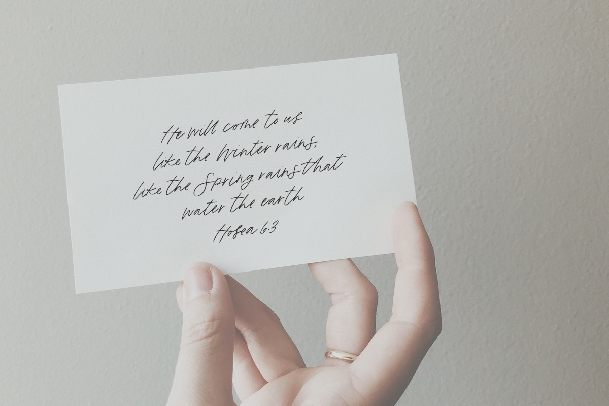 Eugene and Oakley Font Duo, a Sans Serif Font by Margot + Co (Photo 15 of 18)