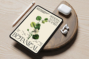 Rauleko Calligraphy Serif Font, a Serif Font by Graphicxell (Thumbnail 9 of 10)