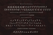 Ransvile Beauty | Wedding Script, a Script Font by StoricType (Thumbnail 3 of 12)