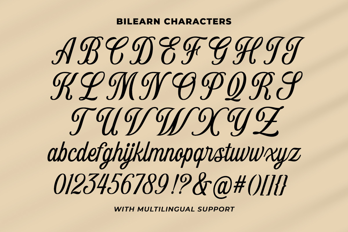 Bilearn Modern Script, a Script Font by Letterhend Studio (Photo 3 of 9)