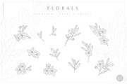 NACRE Monograms & Floral Set, an Object Graphic by Euonia Meraki (Thumbnail 7 of 12)