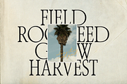 The Old Bros Oskon 90s Vintage Serif, a Serif Font by zelow type (Thumbnail 6 of 11)
