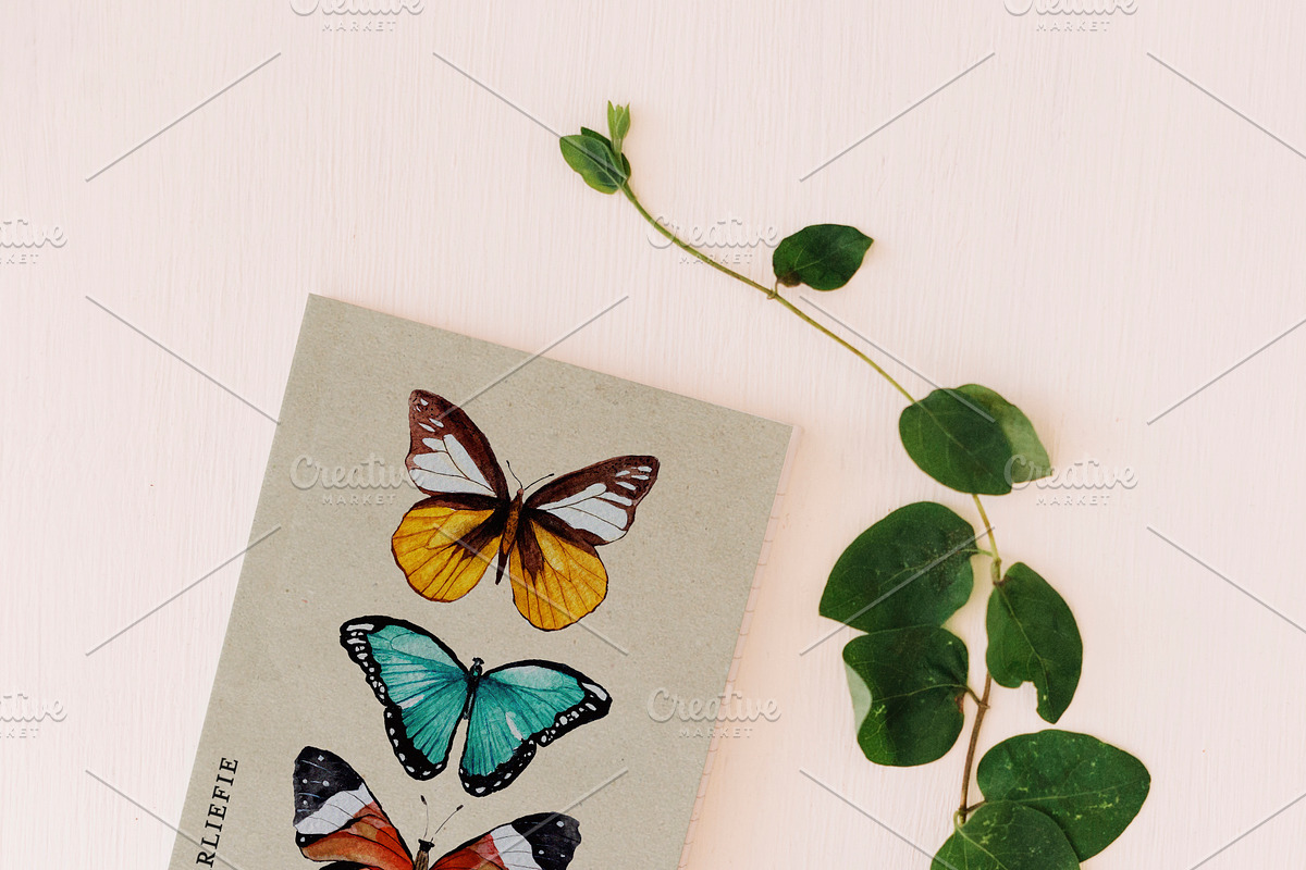 Watercolor Butterflies, a Decorative Illustration by Karliefie (Photo 3 of 5)