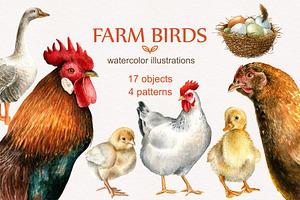 Farm birds.Watercolor set
