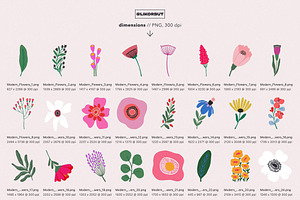 Abstract Modern Flower Illustrations