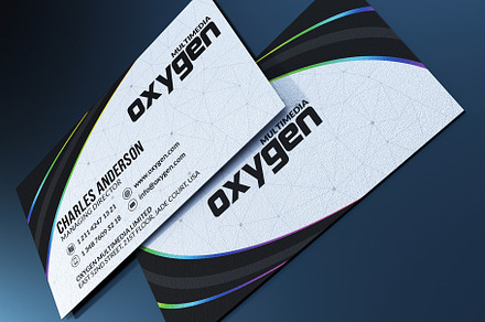 Modern Business Card