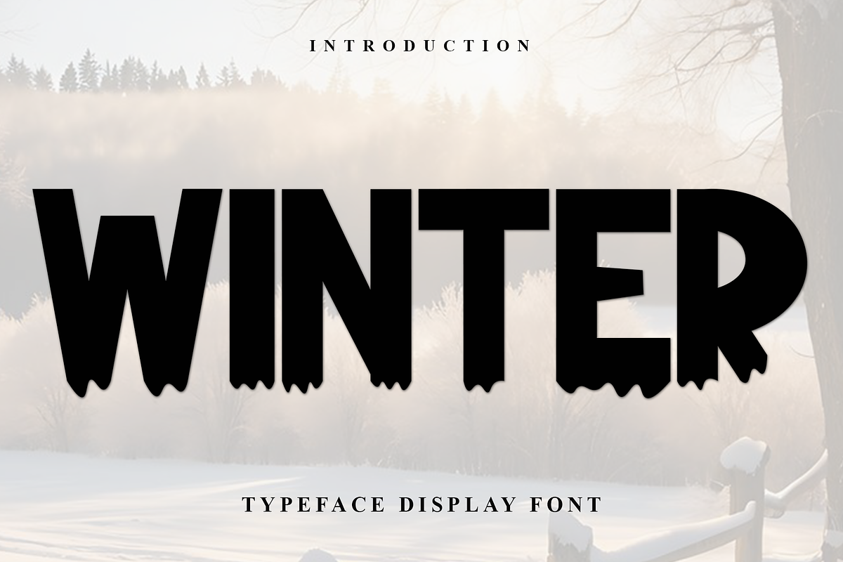 Winter, a Serif Font by FreshTypeINK (Photo 1 of 8)