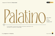 TBJ Palatino San serif With Serif