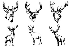 Deer vector set