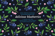 Delicious blueberries. Vector set., a Graphic by natamastery (Thumbnail 1 of 7)