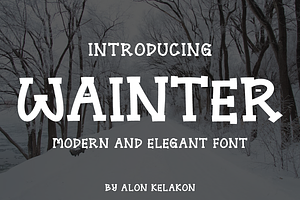 Wainter, a Handwritten Font by alon kelakon